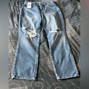 💥 TRIARCHY NWT 💥 JEANS SZ 25 - SUPER HIGH WAIST!
